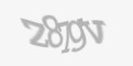 Beveiligingscode