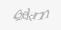 Beveiligingscode