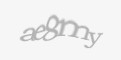 Beveiligingscode