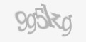 Beveiligingscode